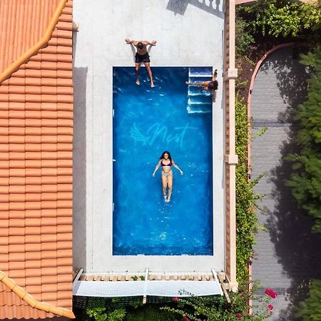 Duque Nest Hostel Costa Adeje  Ngoại thất bức ảnh